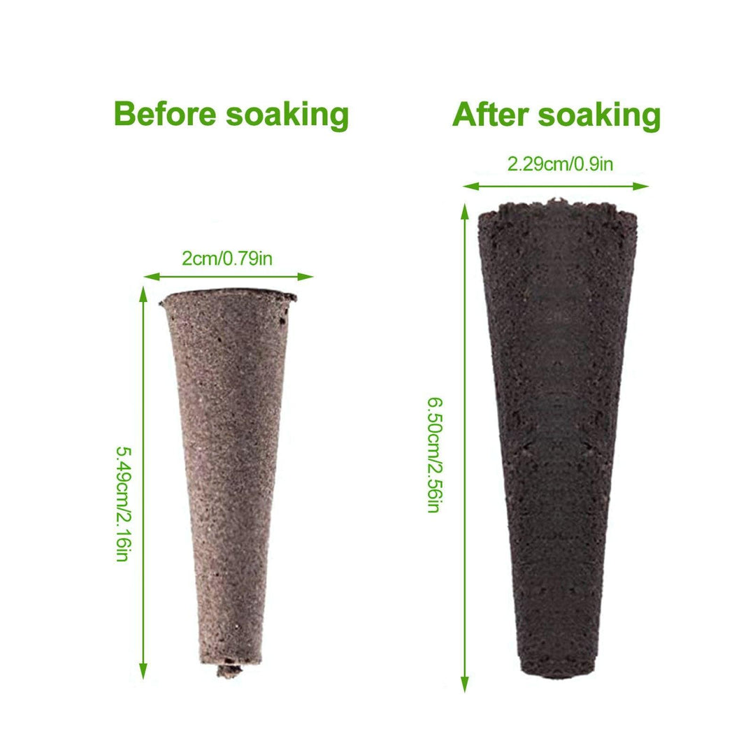 Lisslune | Carrot-Boosting Hydroponic Seedling Pods for Easy Gardening