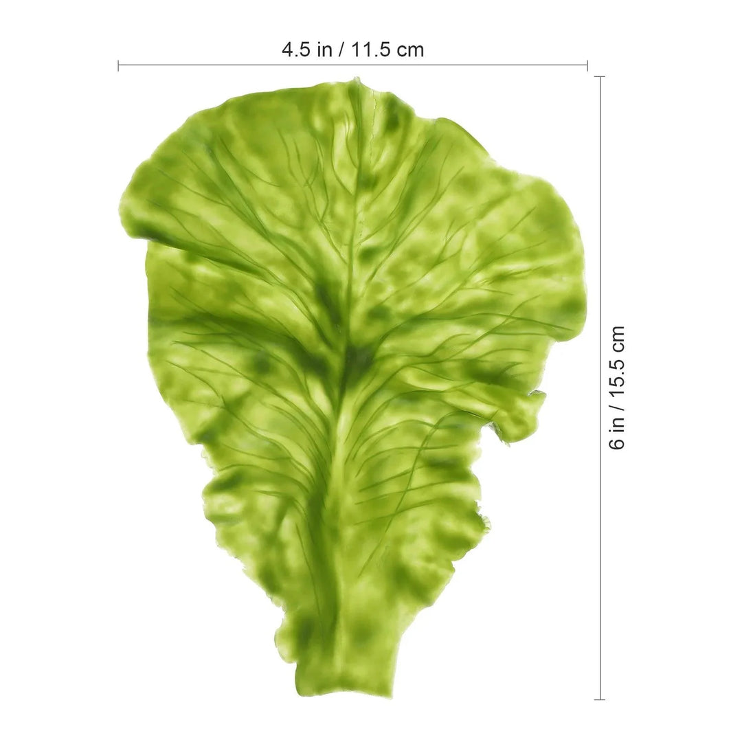 Lisslune | Set of 3 Life-like PVC Lettuce Leaf Models for Culinary Decoration and Photography