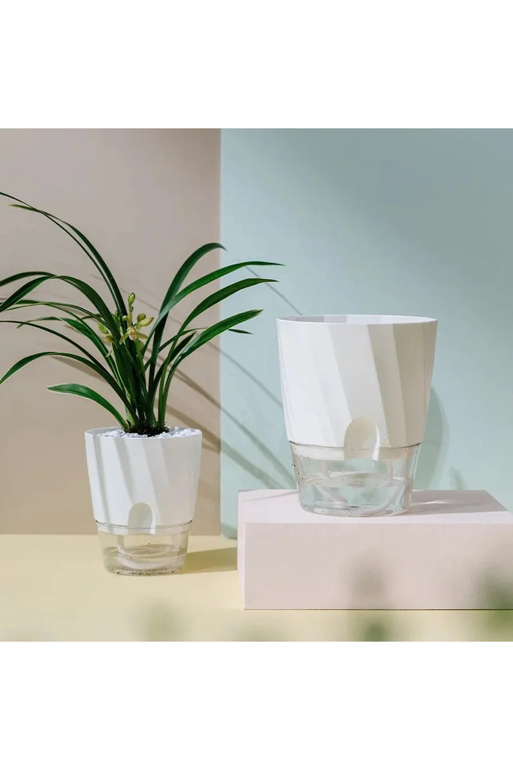Lisslune | Transparent office plant pot