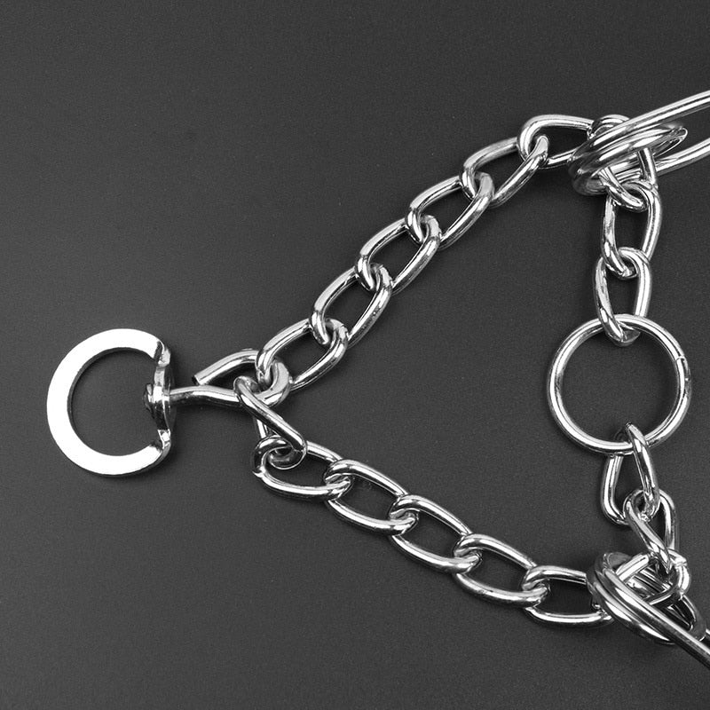 Lisslune | Dog Pincher Collar - Stylish B