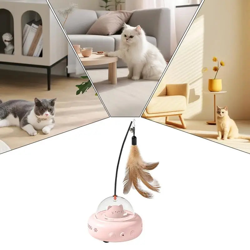 Lisslune | The ultimate toy for pets to hunt and chase!