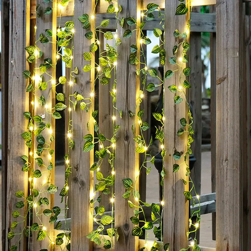 Lisslune | Garden vine LED string lights