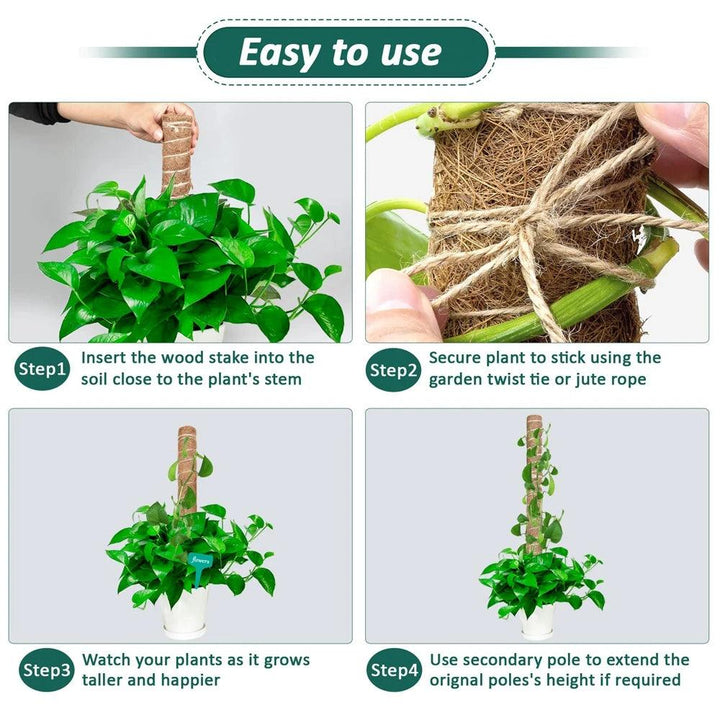 Lisslune | Vertical Garden Climbing Support Kit - Eco-Friendly Growth Solution for Indoor Plants
