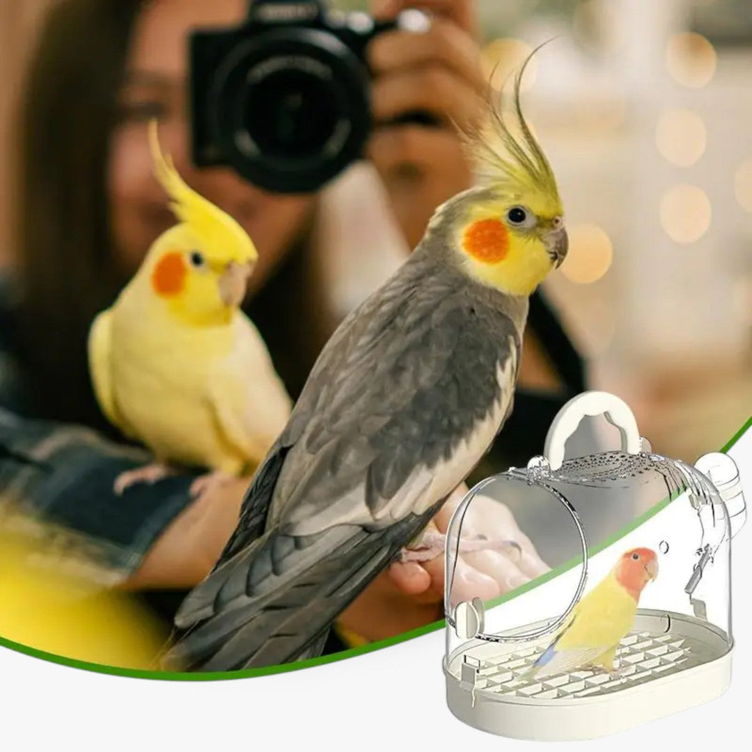 Lisslune | Airy Carry Cage "Featherlight" for Small Pets and Birds