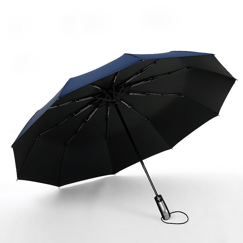 Lisslune | Windproof Anti-UV Automatic Elegant Umbrella