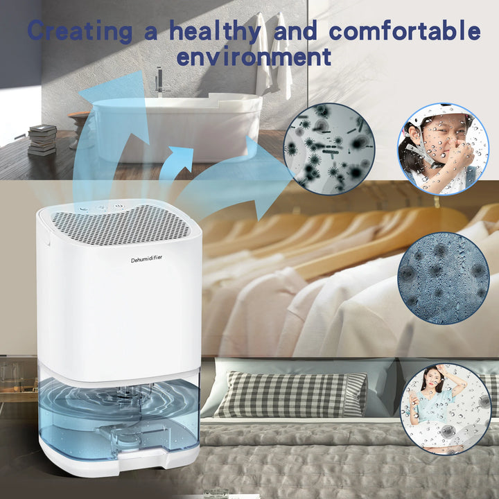 Lisslune | 1000ml Portable 2-in-1 Dehumidifier with Air Filter & Night Light – Aveline