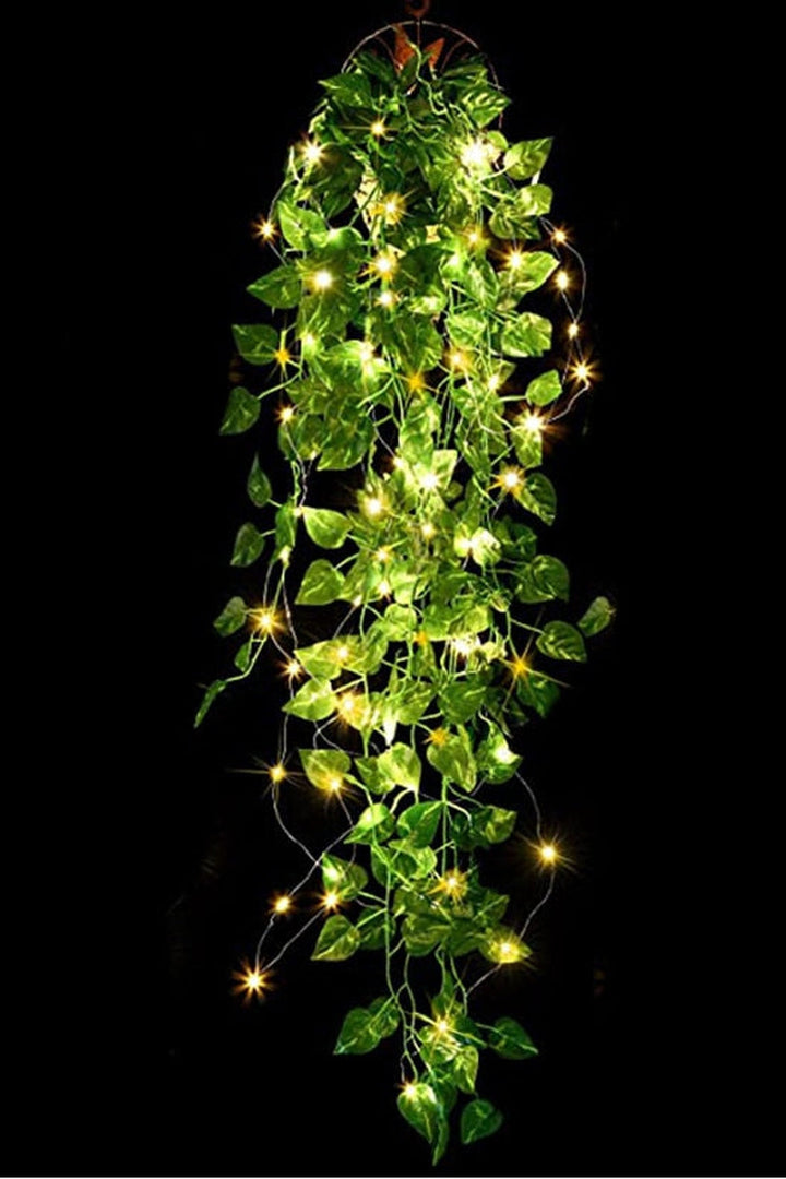 Lisslune | Ivy vine decor
