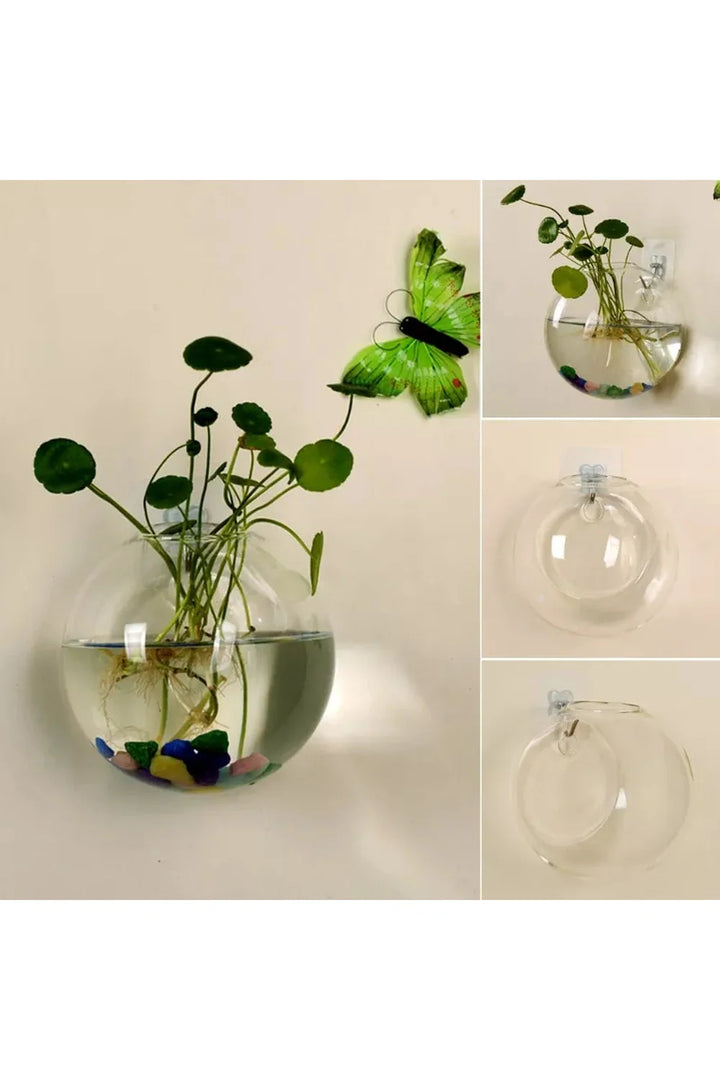 Lisslune | Glass wall vase