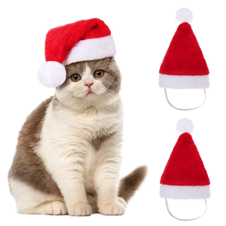 Lisslune | Christmas Hat