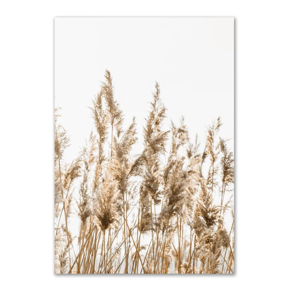 Lisslune | Reed Canvas Poster