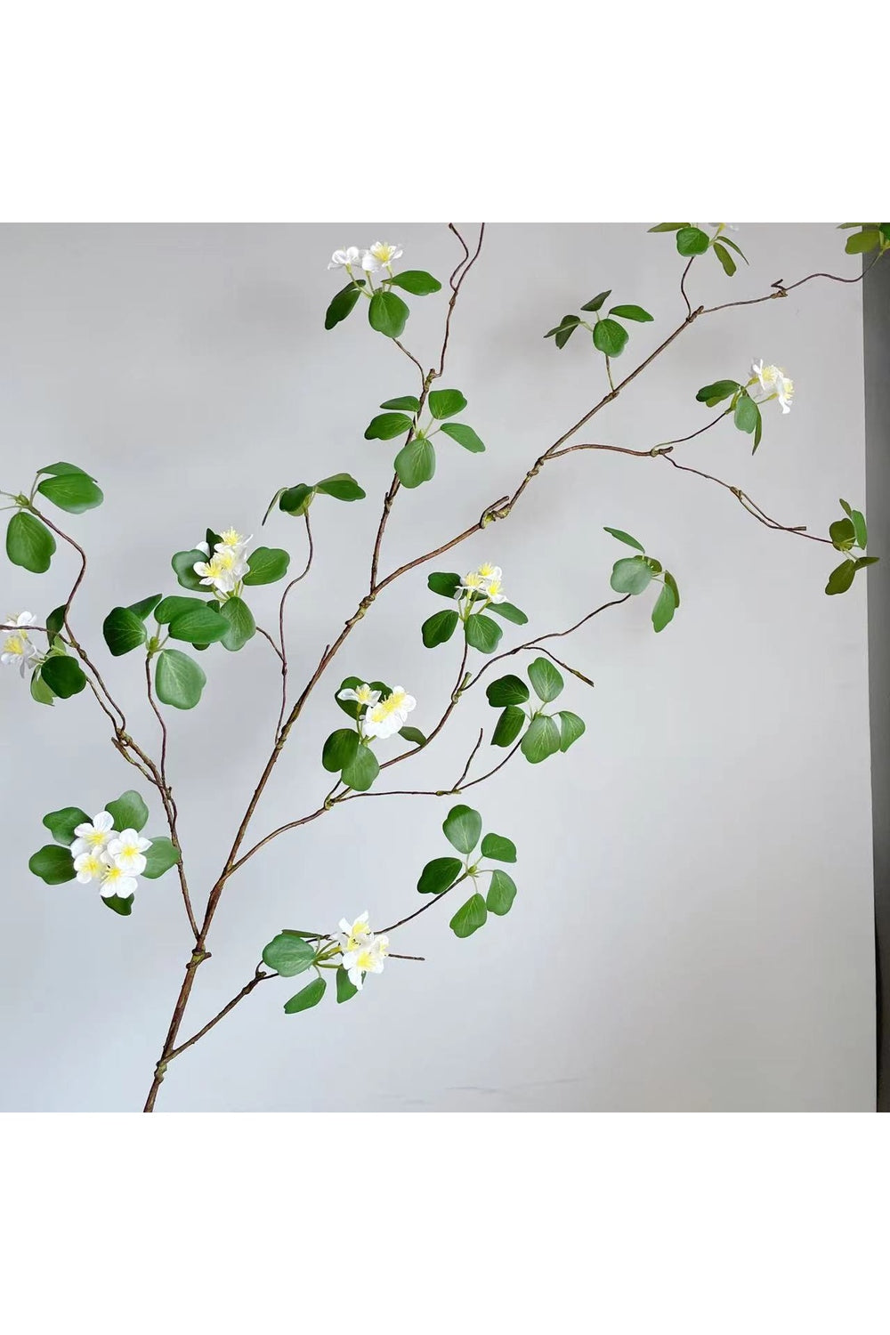 Lisslune | Style Green Leaf Ivy