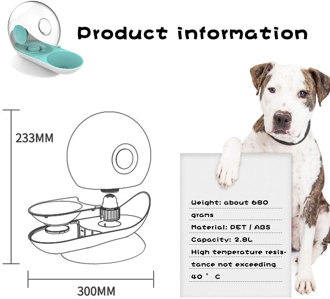Lisslune | AquaPoes Fountain – Automatic Drinking Fountain for Cats and Dogs with Stainless Steel Reservoir