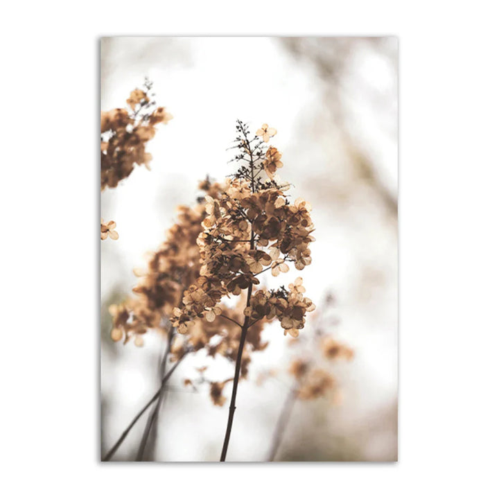 Lisslune | Academy Beach Canvas Poster