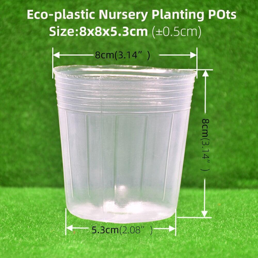 Lisslune | 100-piece clear plant growth cups: Successfully boost your garden