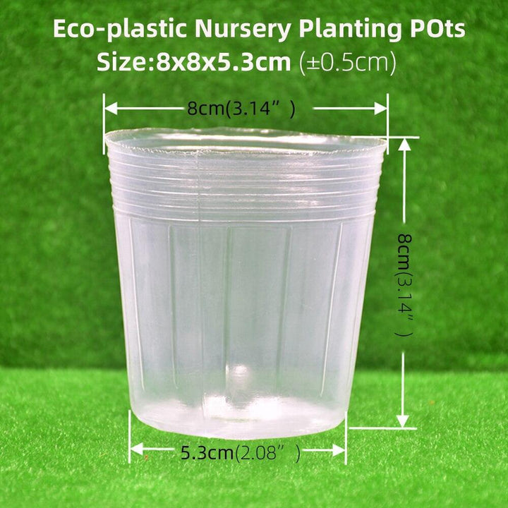 Lisslune | 100-piece clear plant growth cups: Successfully boost your garden