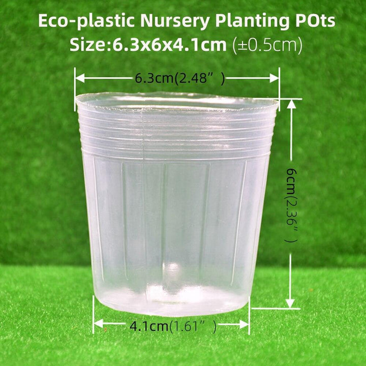 Lisslune | 100-piece clear plant growth cups: Successfully boost your garden