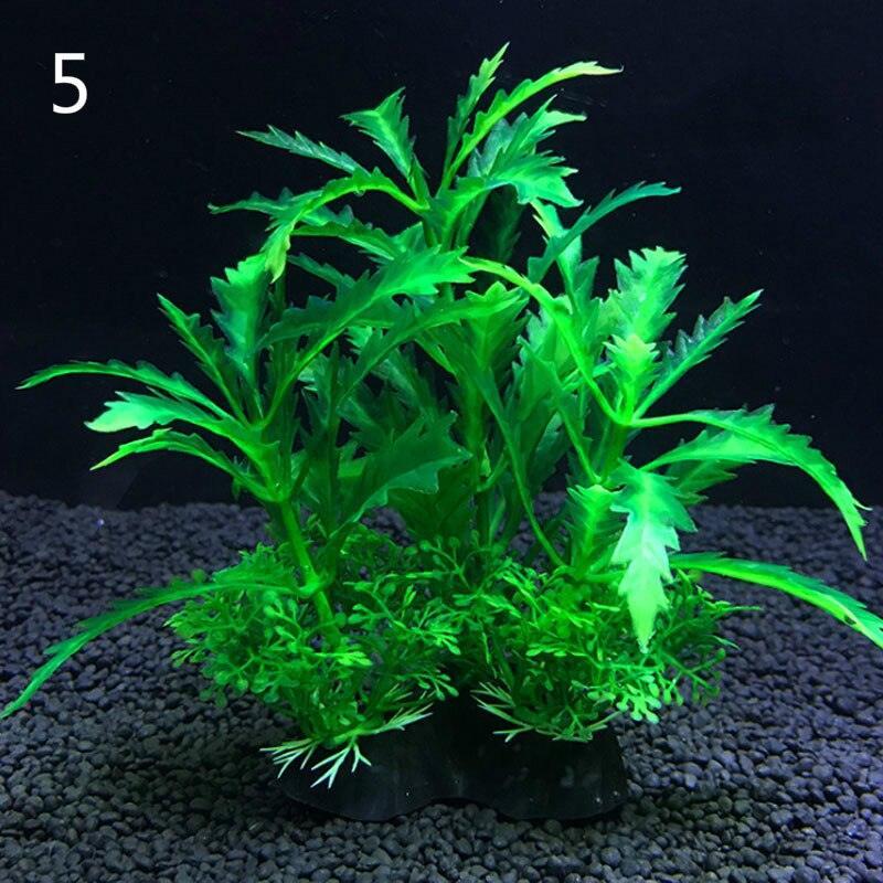 Lisslune | Aquatic Paradise: 12 Unique Plant Varieties for Lively Aquarium Landscapes