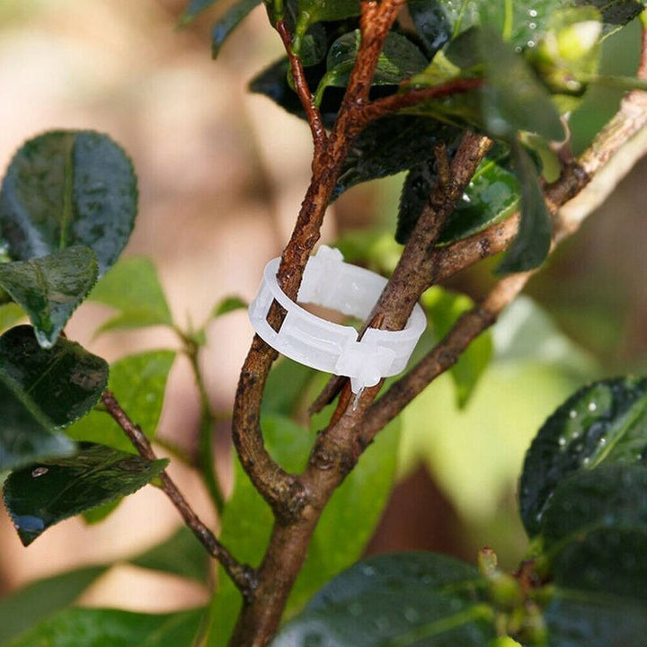 Lisslune | Green Garden Safe Plant Support Clips