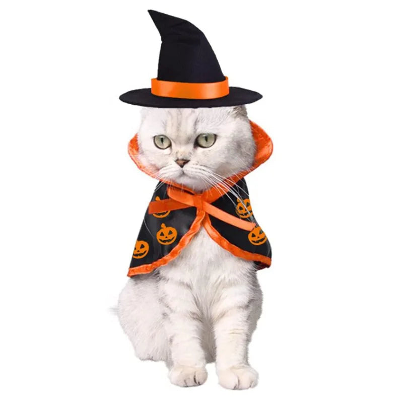 Lisslune | Cat Halloween costume