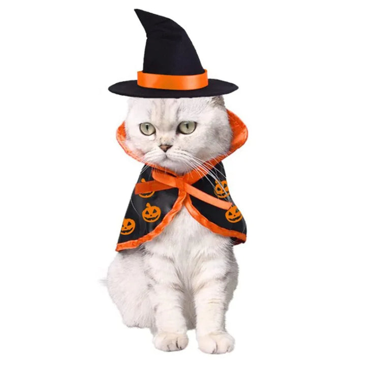 Lisslune | Cat Halloween costume