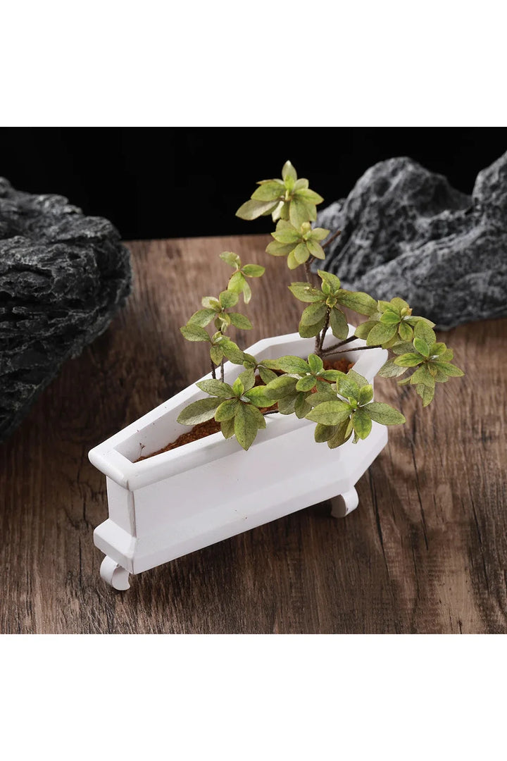Lisslune | Coffin Plant Pot
