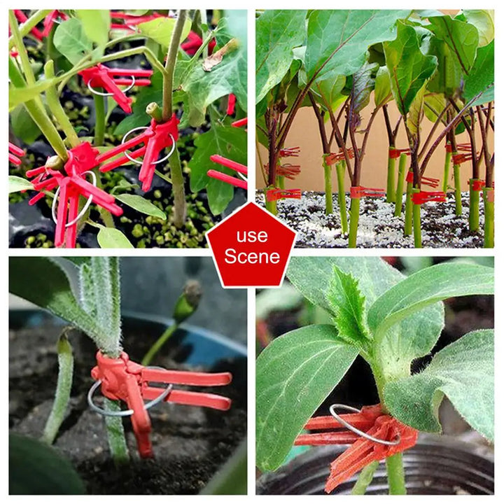 Lisslune | Plastic Refinement Clips for Garden Plants – Ideal for Vegetables and Plant Care