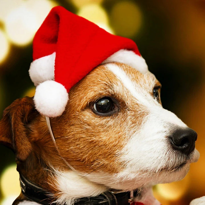 Lisslune | Red Christmas hat