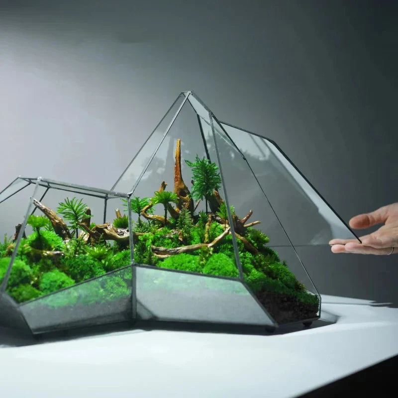 Lisslune | Geometric Glass Moss Planter Terrarium Vase