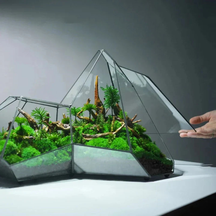 Lisslune | Geometric Glass Moss Planter Terrarium Vase