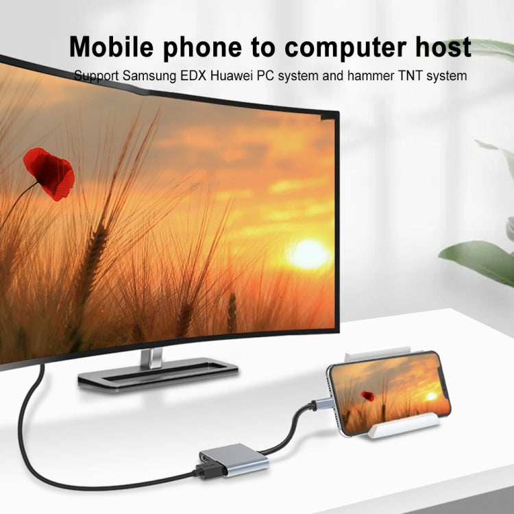 Lisslune | 2 in 1 multifunction USB-C / Type-C to dual HDMI hub docking station (Gray)