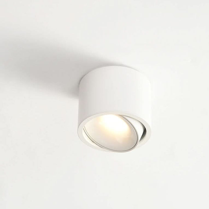 Lisslune | Adjustable LED Flush Mount Ceiling Spotlight