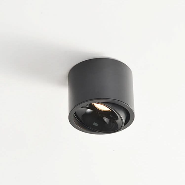 Lisslune | Adjustable LED Flush Mount Ceiling Spotlight