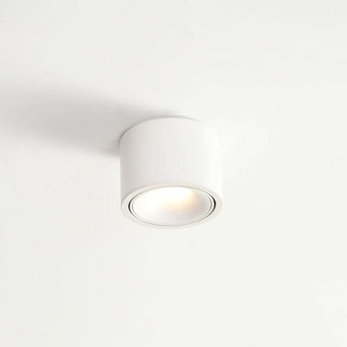 Lisslune | Adjustable LED Flush Mount Ceiling Spotlight