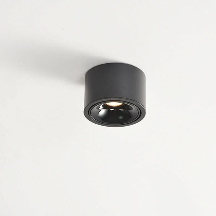 Lisslune | Adjustable LED Flush Mount Ceiling Spotlight