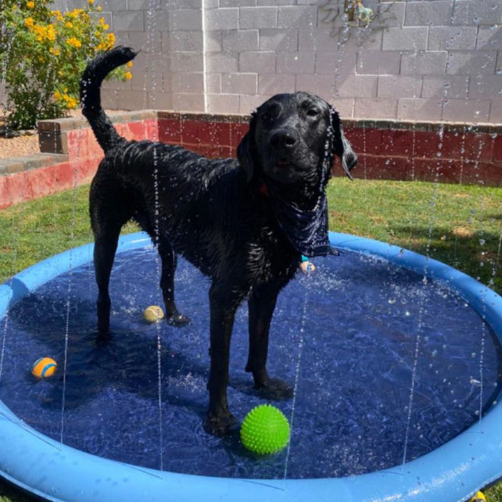 Lisslune | Paws and Play Splash Pad