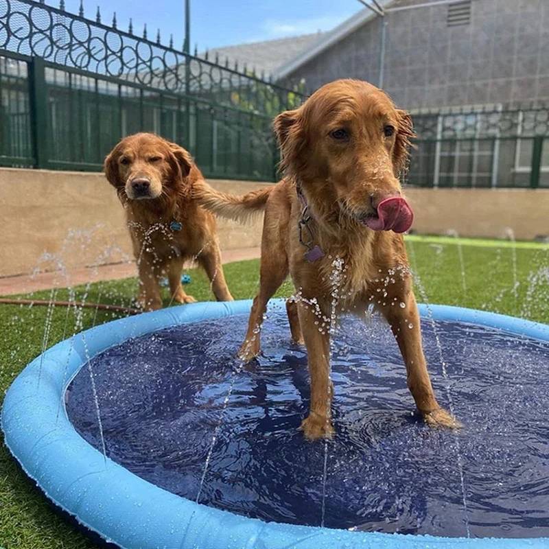 Lisslune | Paws and Play Splash Pad