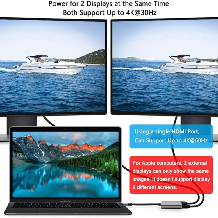 Lisslune | ZS-SGSHDMI USB-C / Type-C to Dual HDMI Adapter