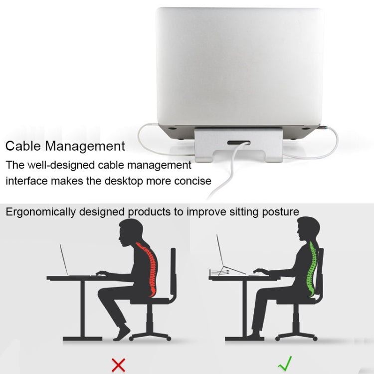 Lisslune | AP-1S Aluminum Alloy Laptop Stand with Cooler