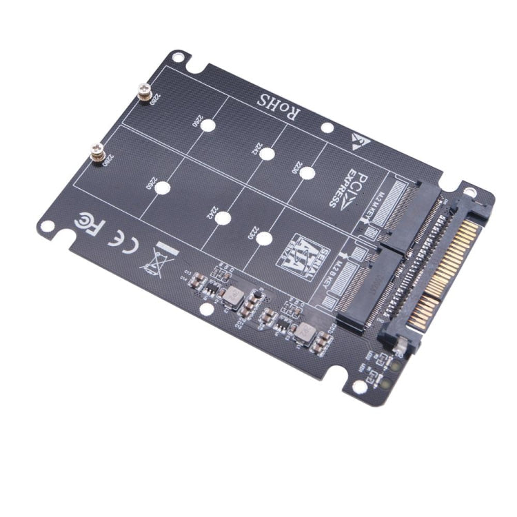 Lisslune | NGFF M.2 NVME to U.2 2 Ports Adapter Card Dual SSD to U.2 SFF-8639 Card Adapter