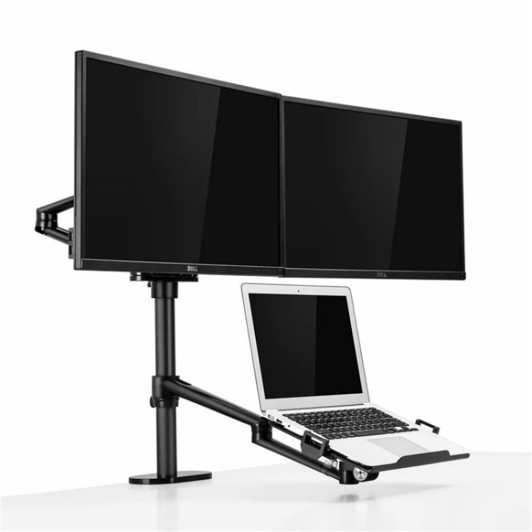 Lisslune | OL-10T Clip-on Desktop Stand Dual Computer Monitor Holder Laptop Holder