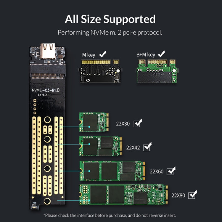 Lisslune | ORICO M2PJ NVME M.2 SSD Case (Black)