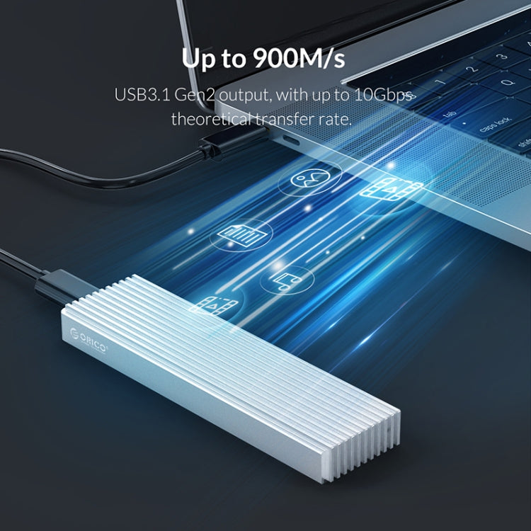 Lisslune | ORICO M2PJ NVME M.2 SSD Case (Black)