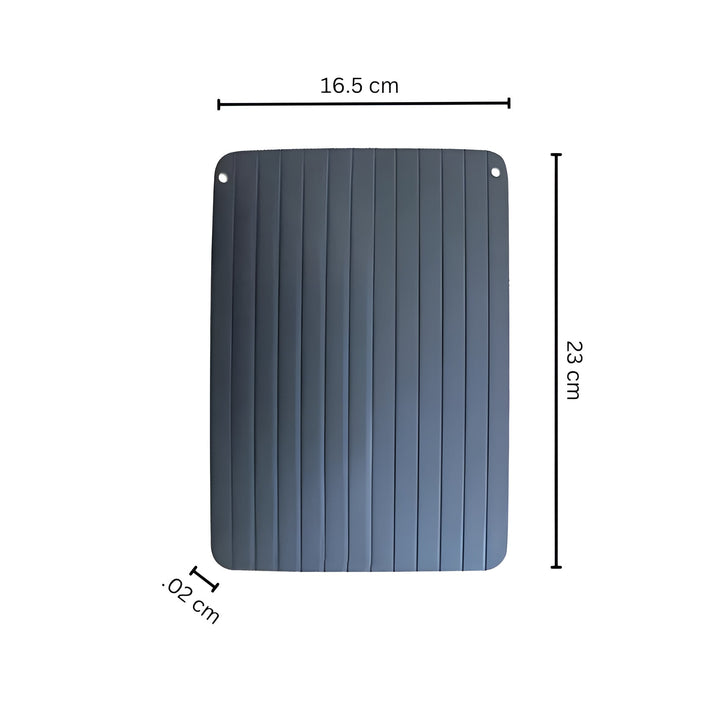 Lisslune | Fast Defrosting Tray