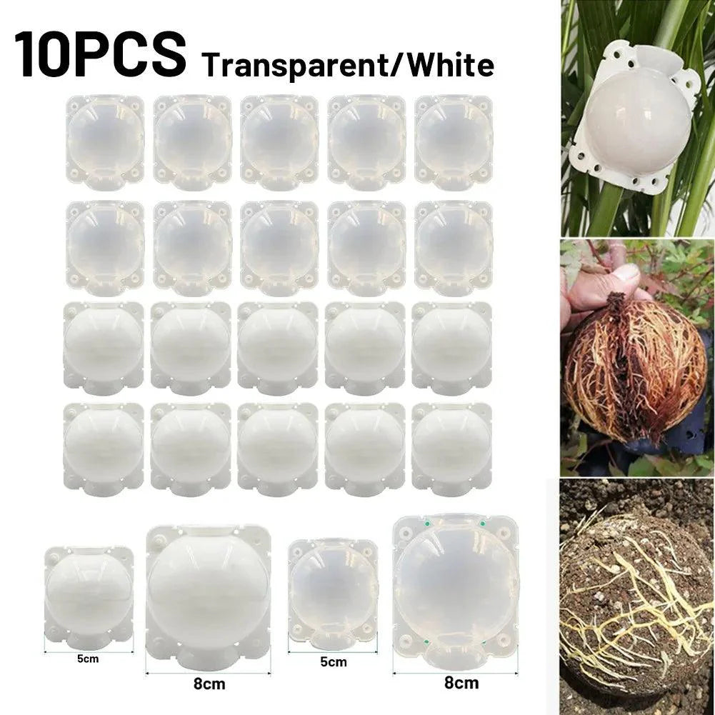 Lisslune | 10-Pack High Pressure Propagation Inserts for Efficient Indoor & Outdoor Plant Propagation