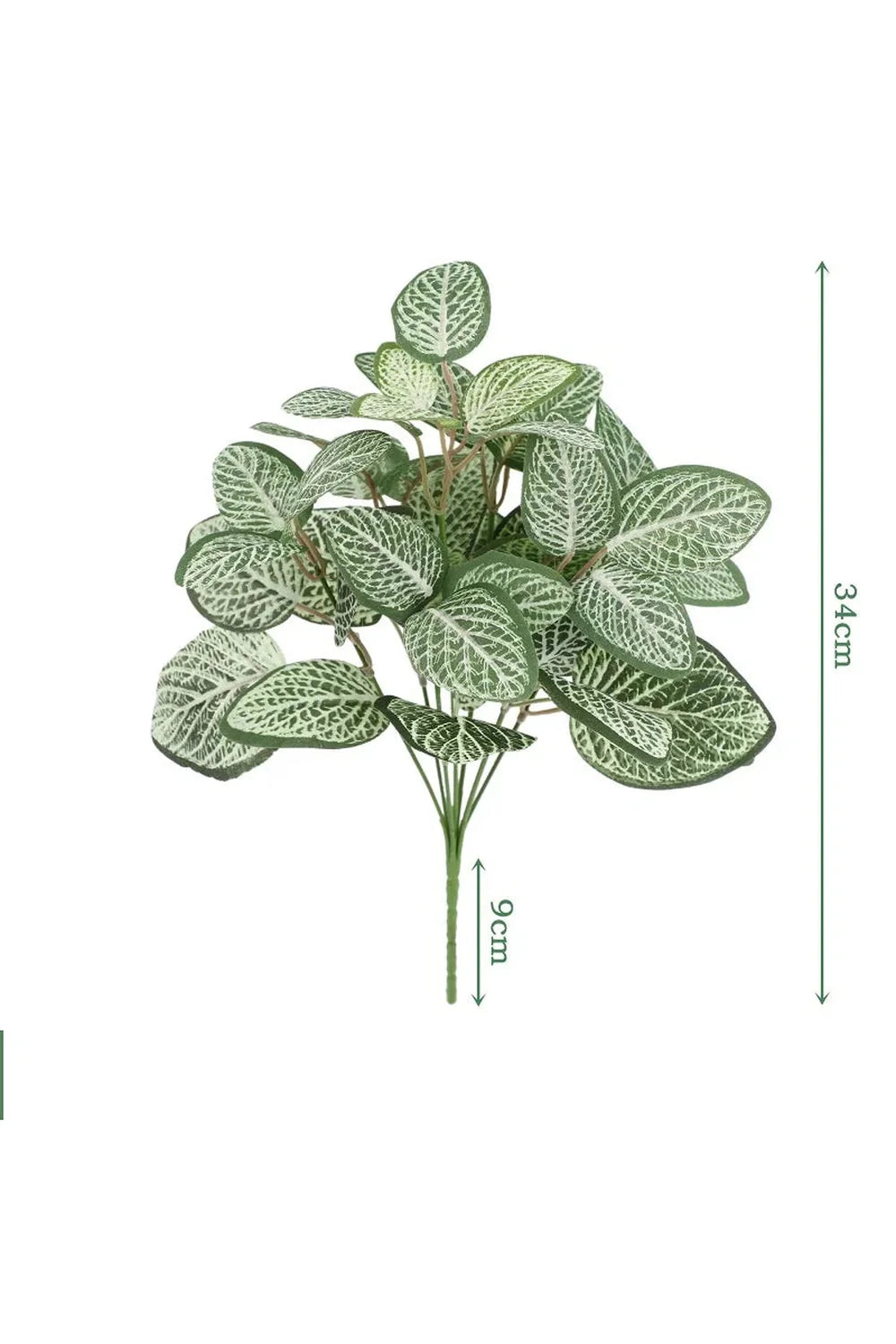 Lisslune | Tortoiseshell Artificial Plants