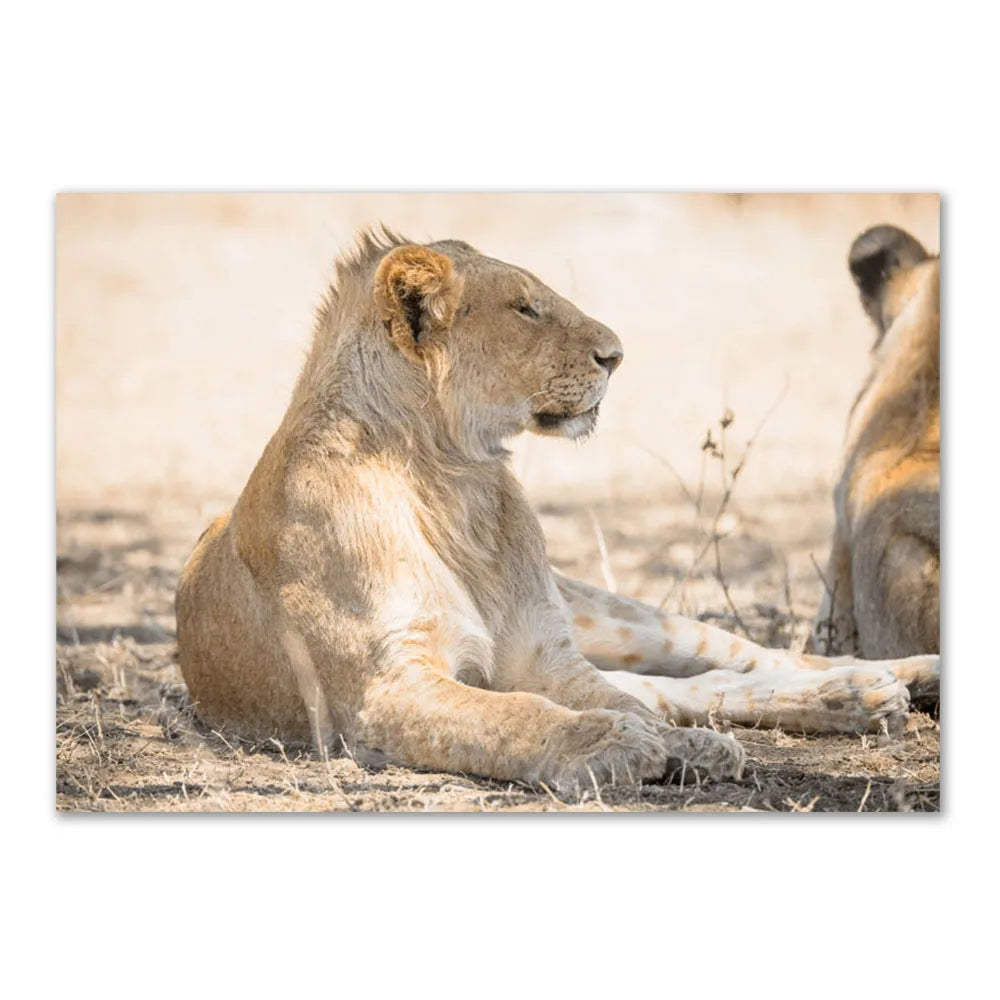 Lisslune | Reed Canvas Poster