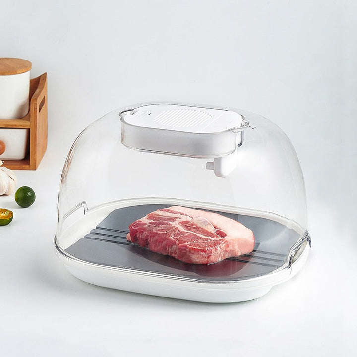 Lisslune | Smart Quick Defrosting Box Machine
