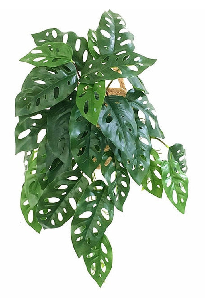 Lisslune | green grapevine wall decoration