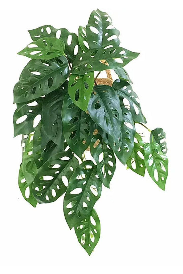 Lisslune | Green Artificial Plants