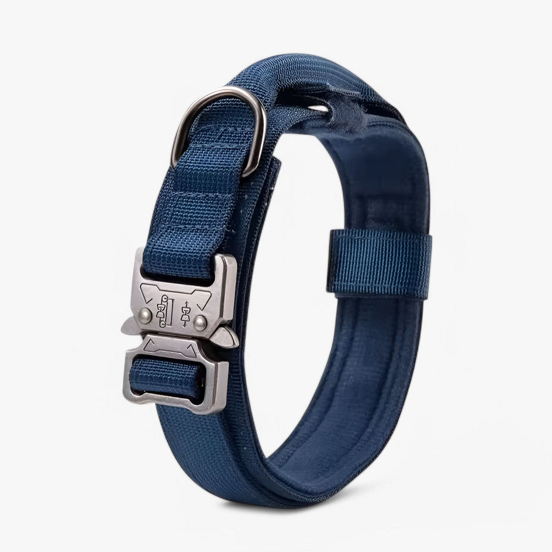 Lisslune | OutdoorHeld Dog Collar – For active dogs with endurance
